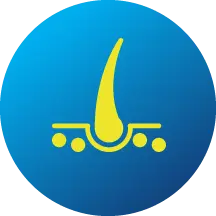 best handheld bidet sprayer